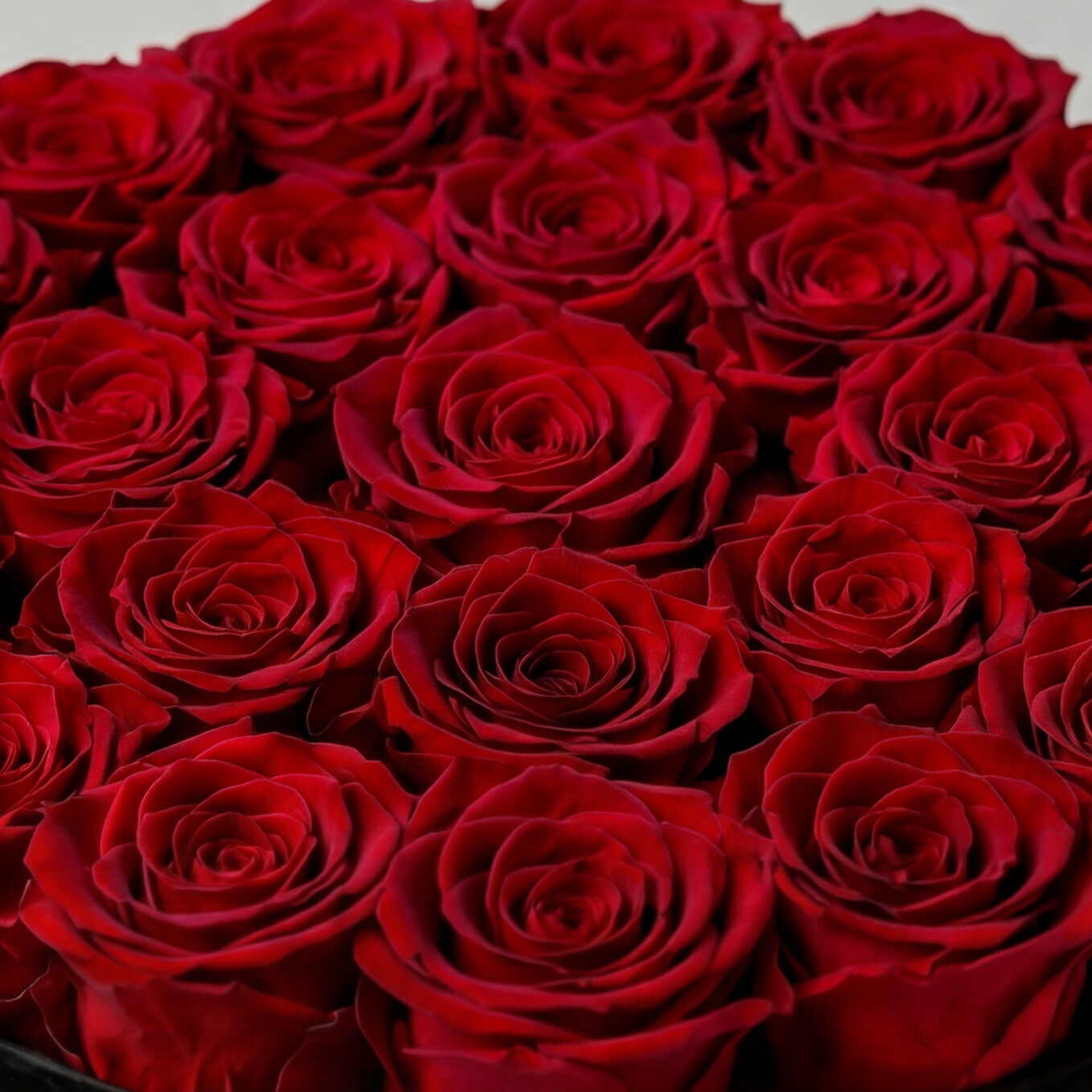 AMOUR — Rose Box with 21 Preserved Roses