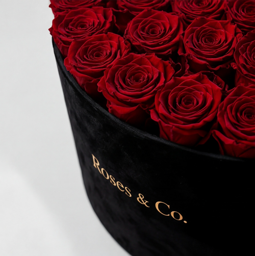 PRESTIGE — Rose Box with 55 Preserved Roses