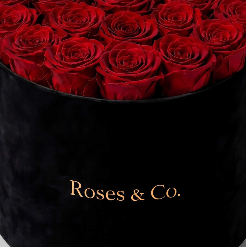 AMOUR — Rose Box with 21 Preserved Roses