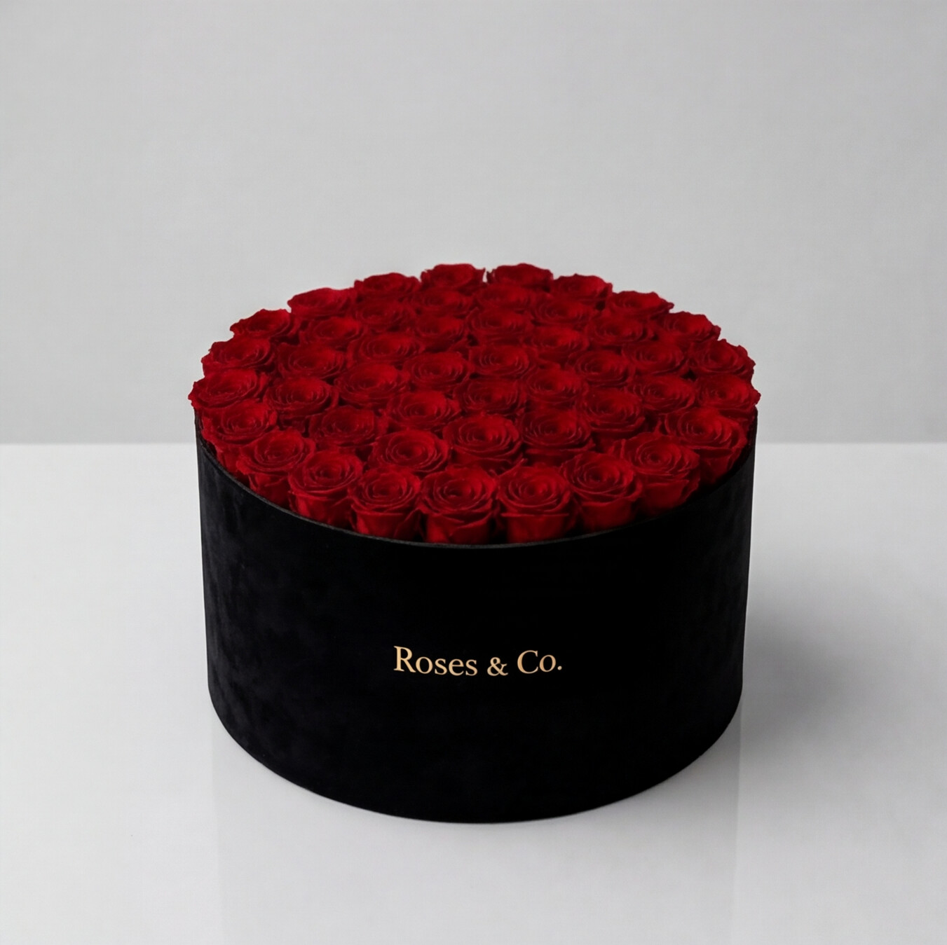 PRESTIGE — Rose Box with 55 Preserved Roses