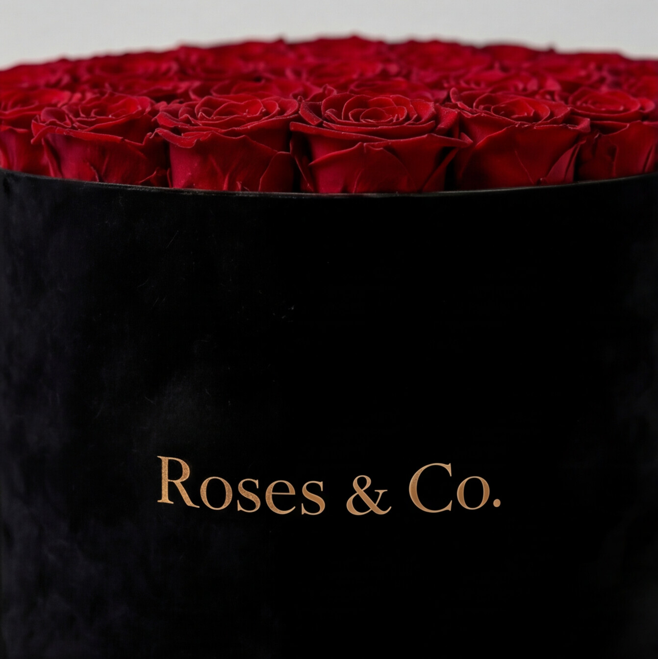 LUMIÈRE — Rose Box with 35 Preserved Roses