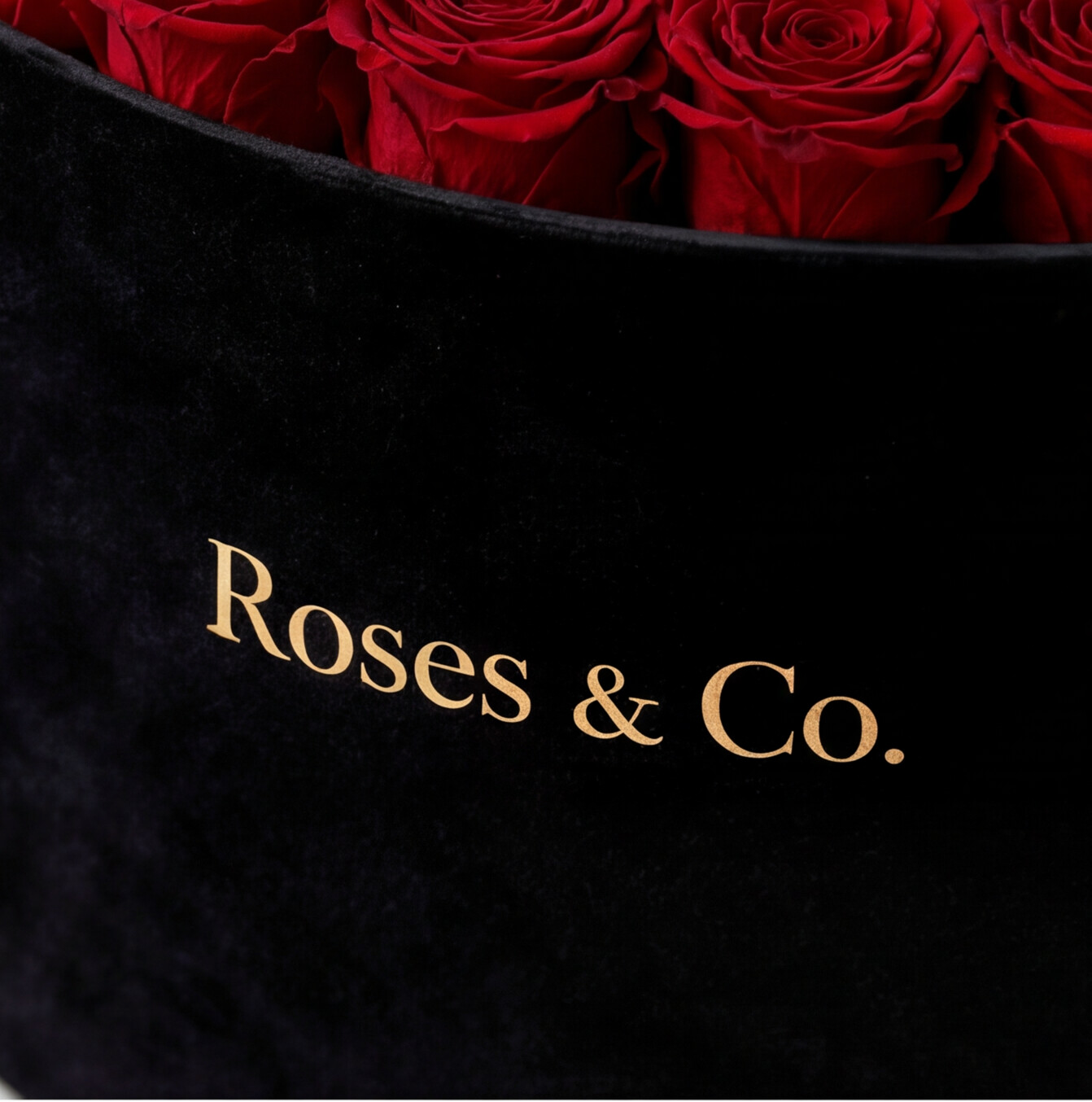 PRESTIGE — Rose Box with 55 Preserved Roses