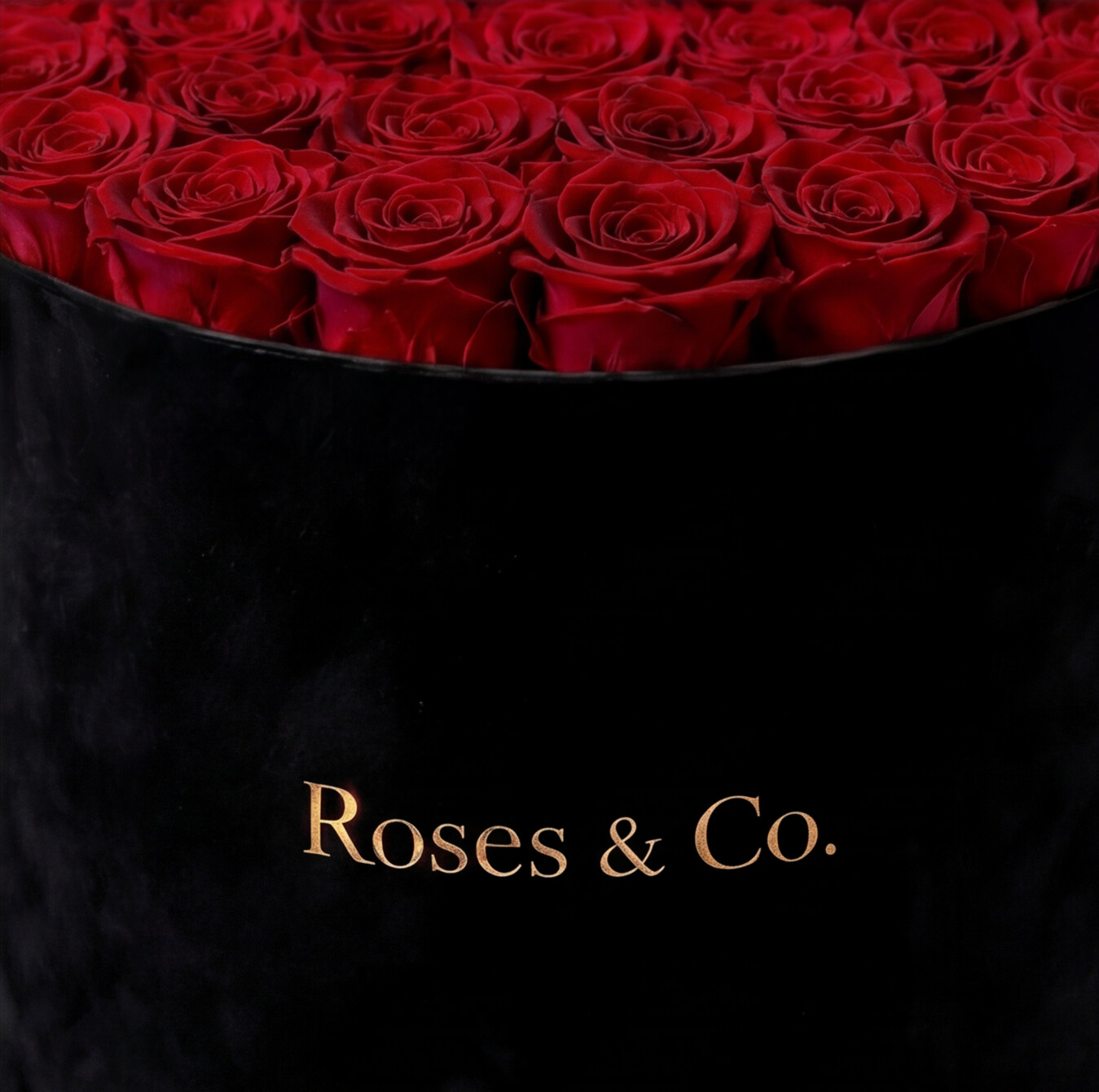 LUMIÈRE — Rose Box with 35 Preserved Roses