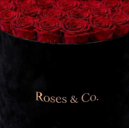LUMIÈRE — Rose Box with 35 Preserved Roses