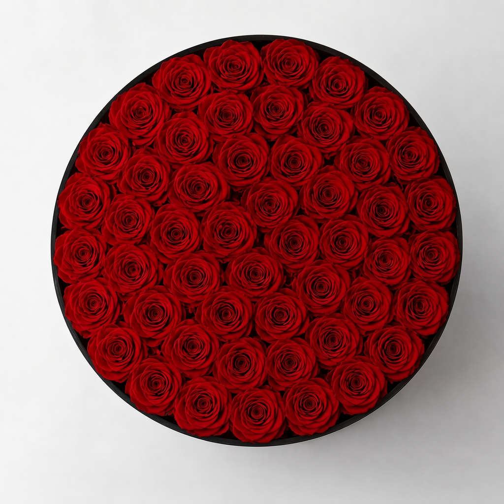 PRESTIGE — Rose Box with 55 Preserved Roses