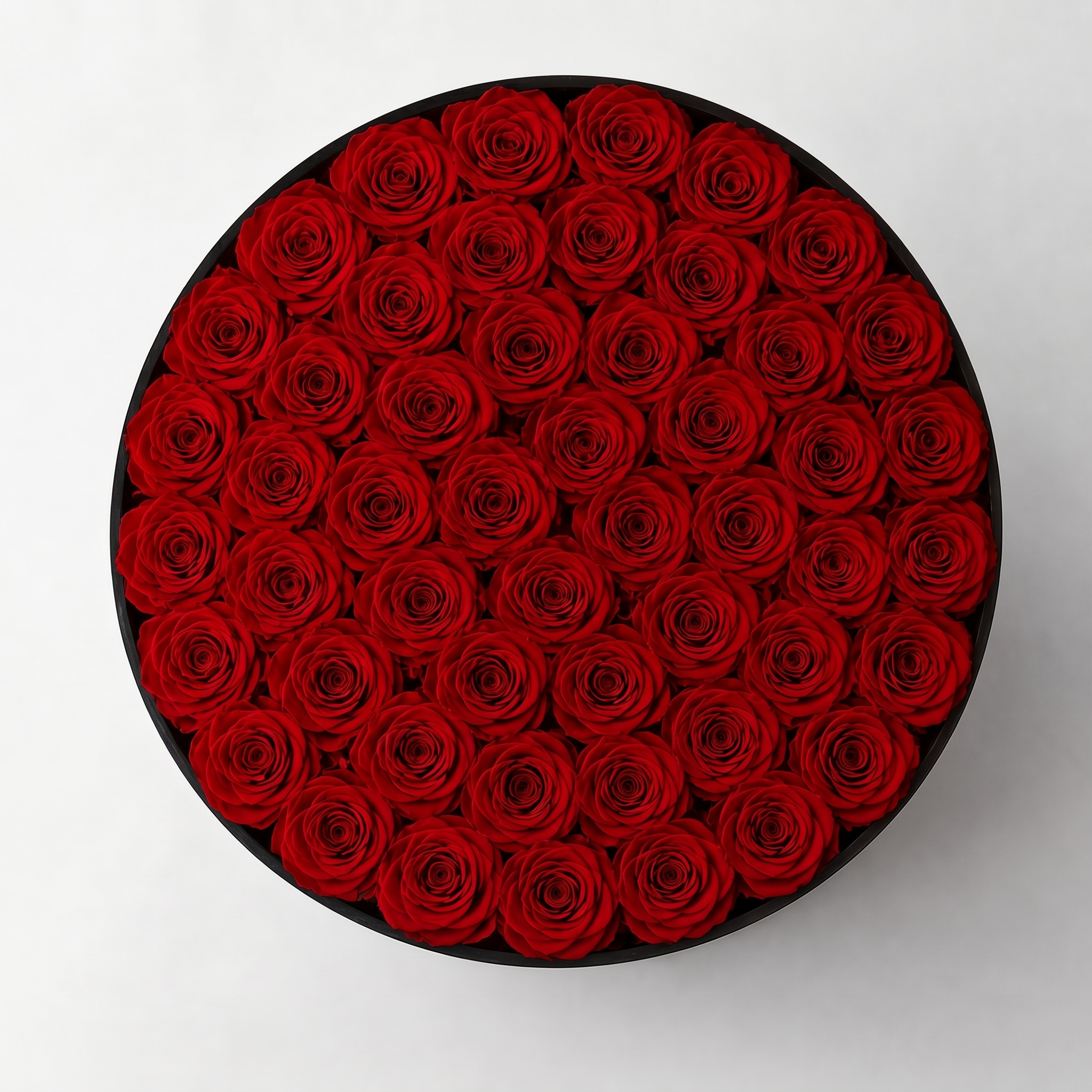 PRESTIGE — Rose Box with 55 Preserved Roses