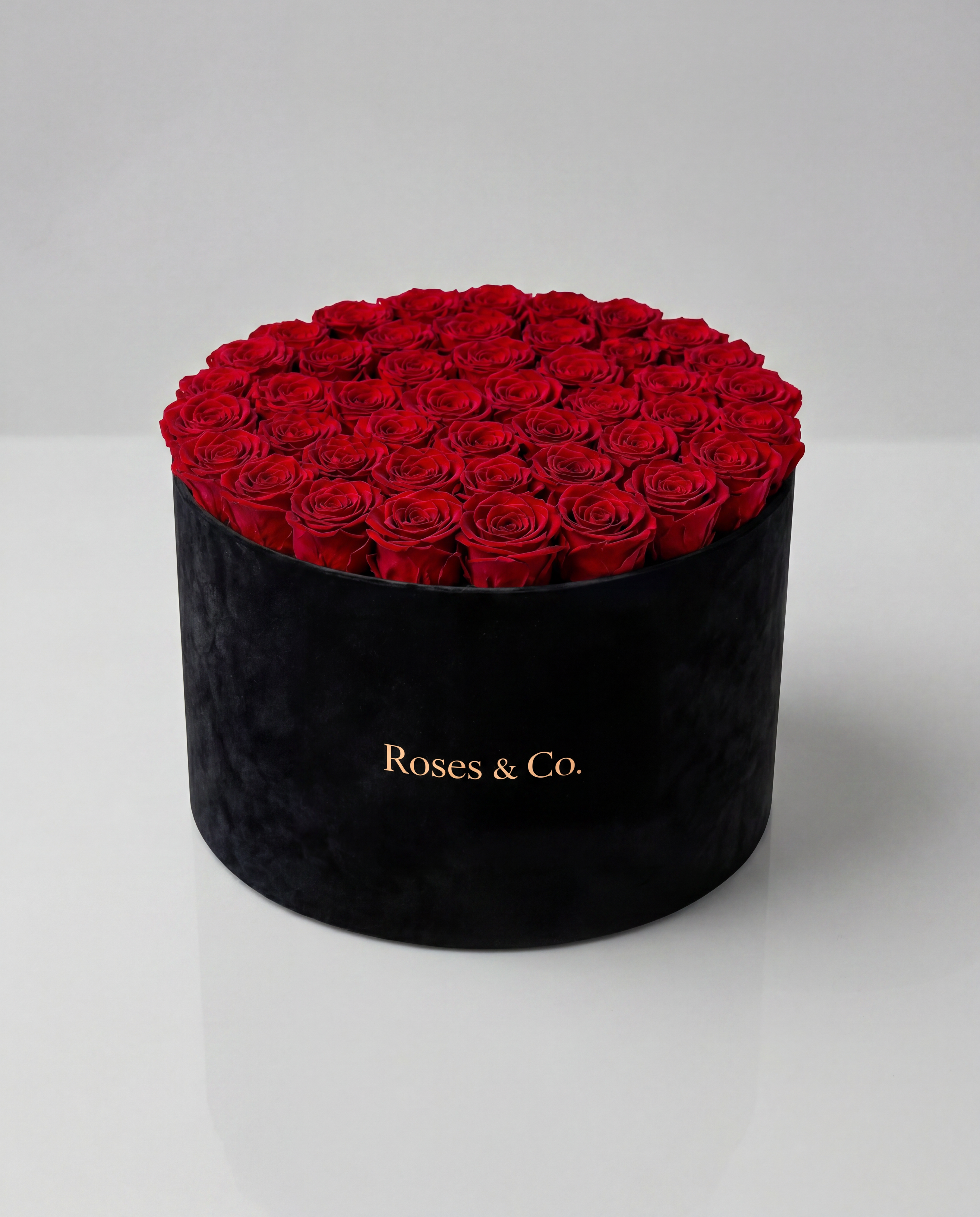 PRESTIGE — Rose Box with 55 Preserved Roses